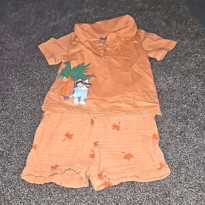 12 month 2 peice short sleeved and shorts outfit.